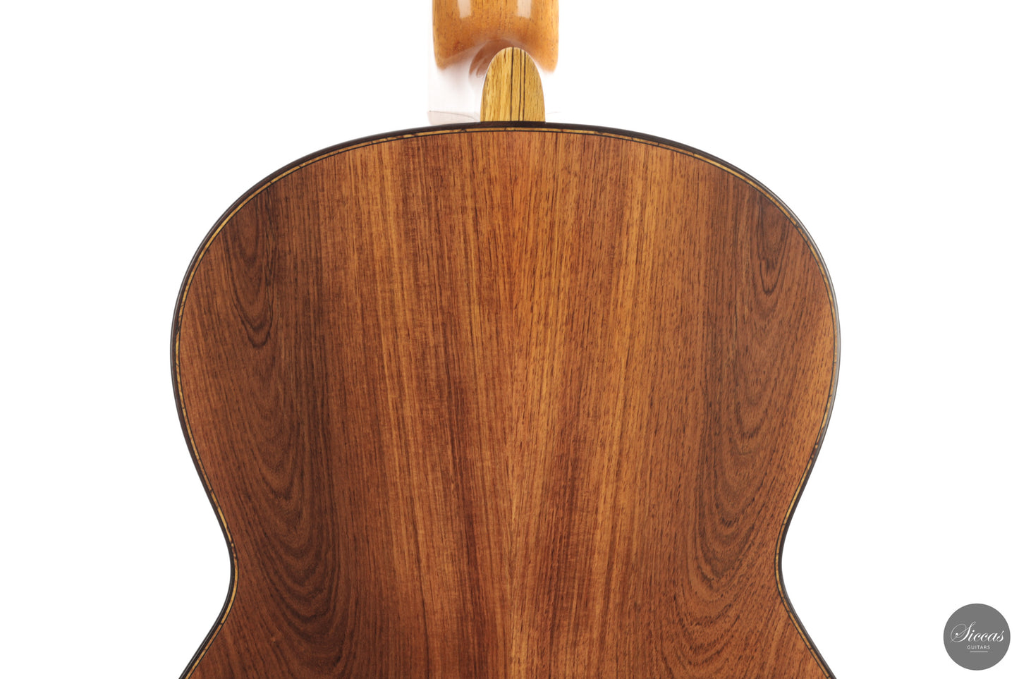 Michele Della Giustina - 2026 No. 445 Double-Top