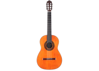 Milestones - Torres Model Relic