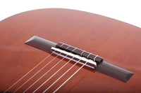 Milestones - Torres Model Relic