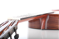 Milestones - Torres Model Relic