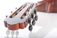 Milestones - Torres Model Relic