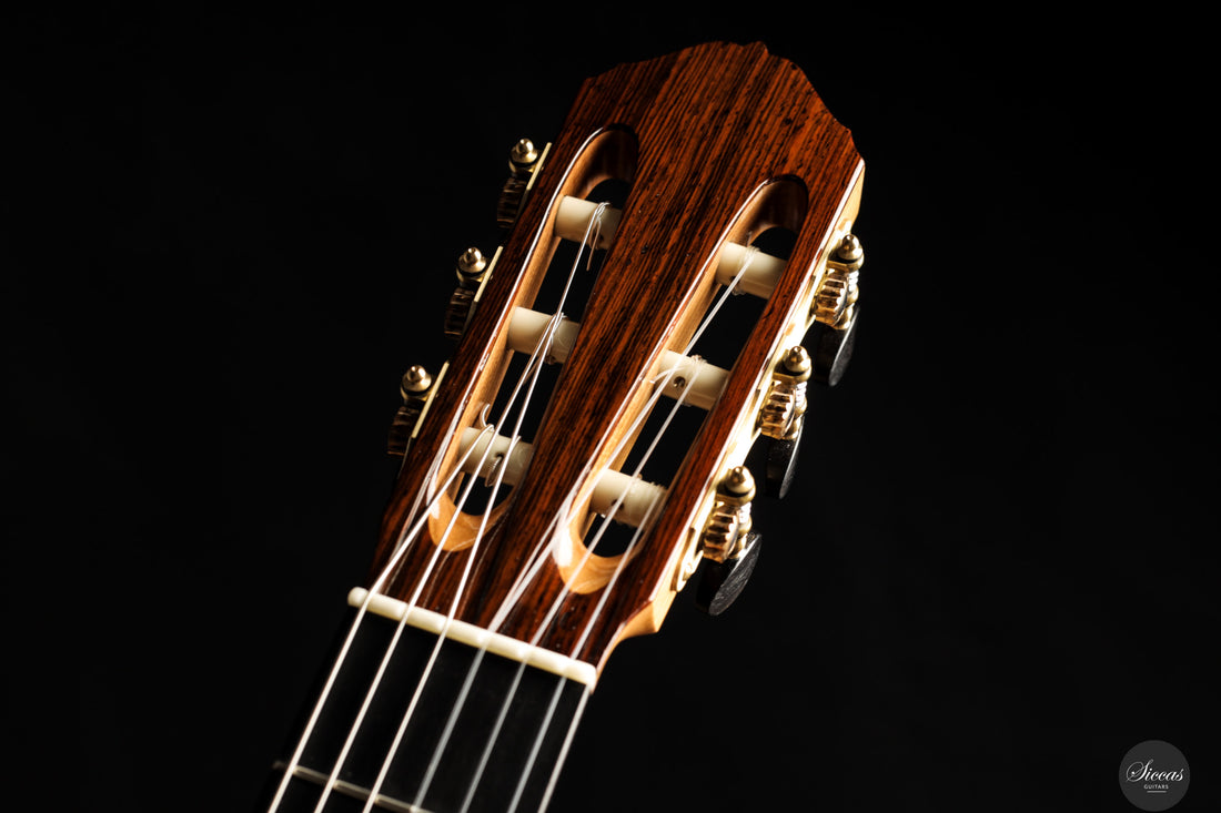 Mirko Migliorini - 2025 No.432