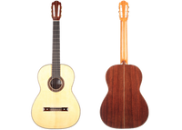 Nicolaus Wollf  - 2016