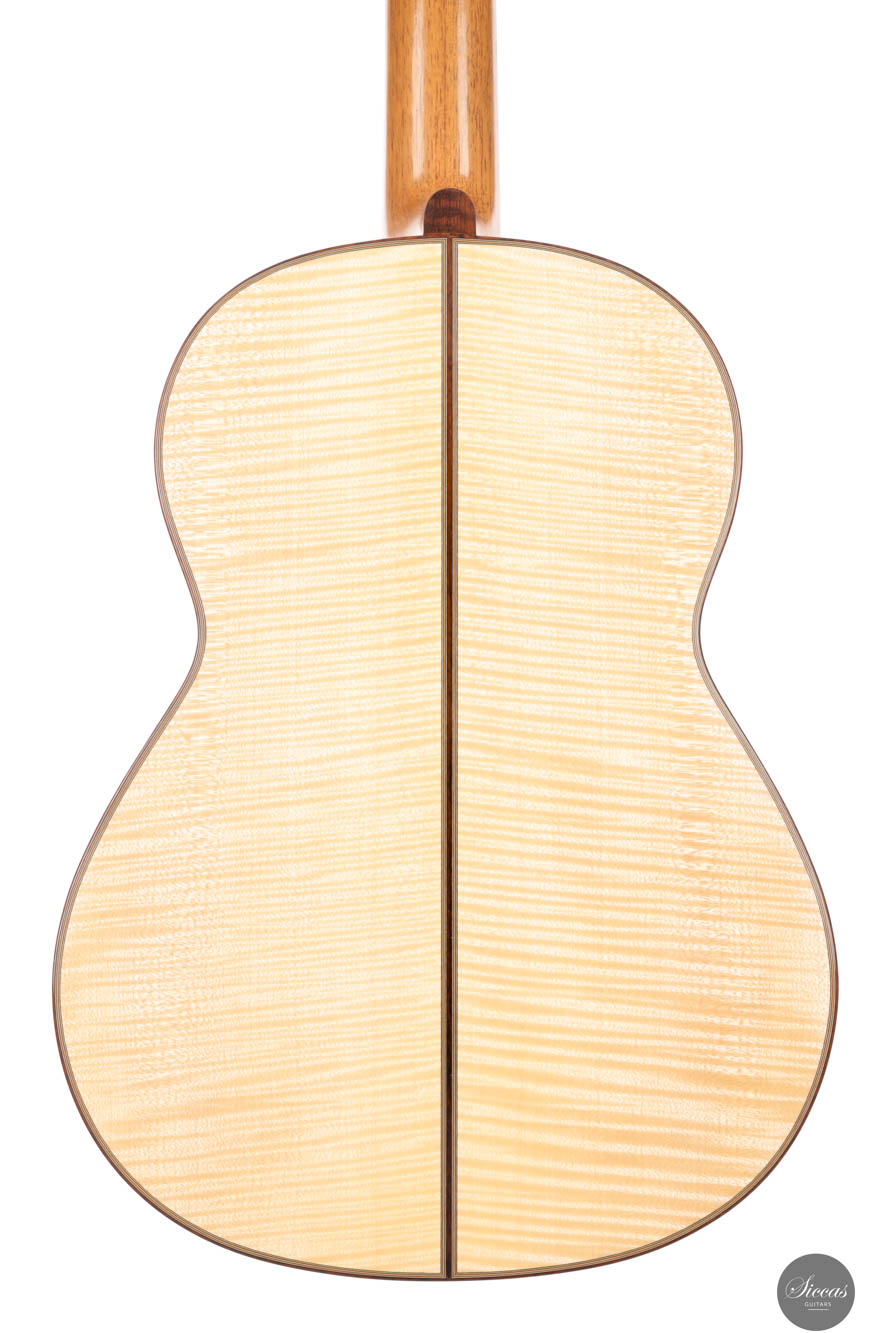 Nils Schebesta - 2025 Spruce/Maple