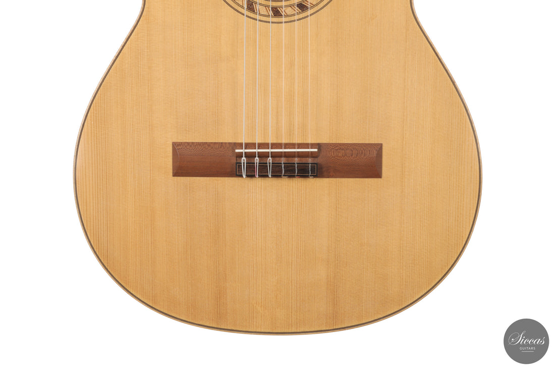 Olivier Fanton d'Andon - 2010