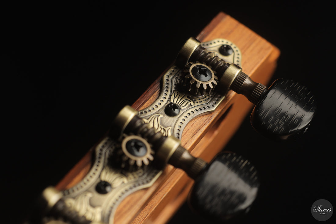 Otto Rauch - 2018 Estudio Model