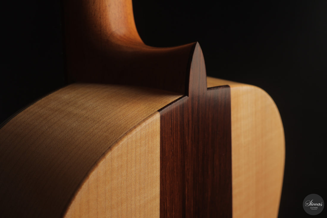 Otto Rauch - 2018 Estudio Model