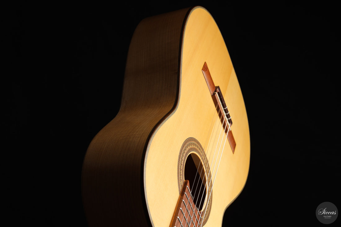 Otto Rauch - 2018 Estudio Model