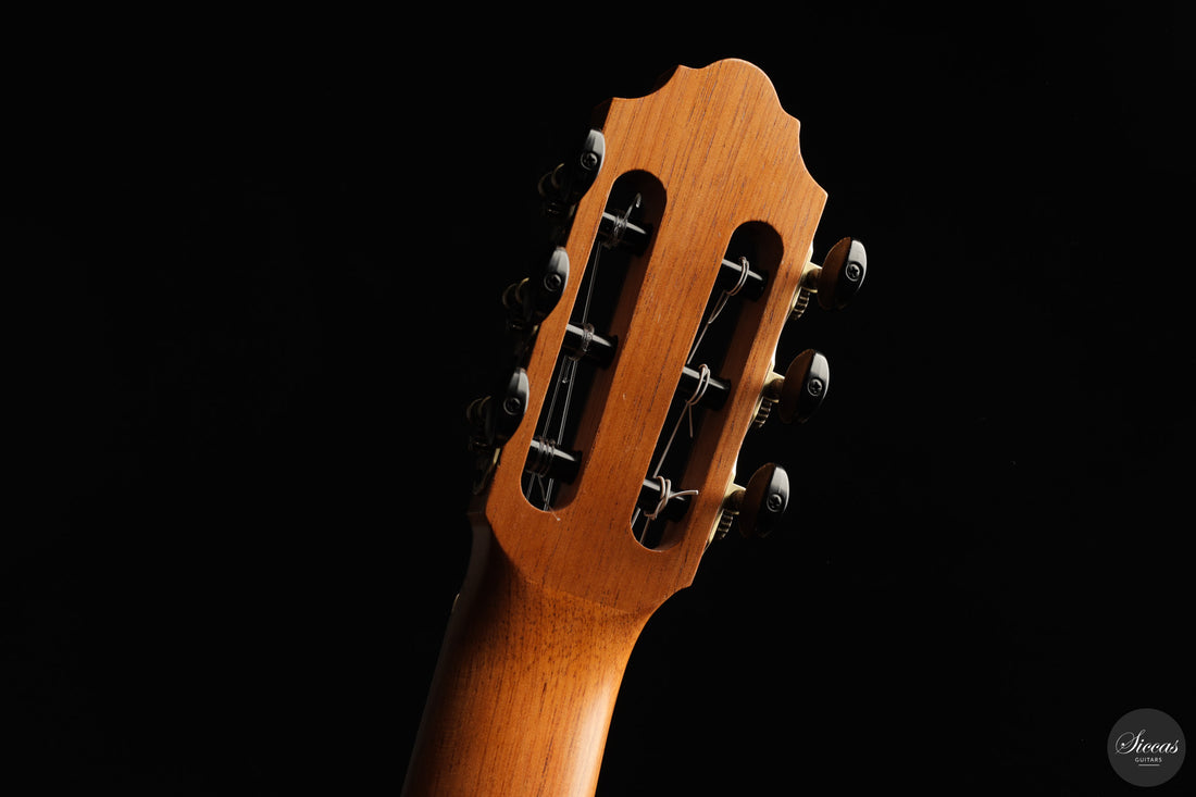 Otto Rauch - 2018 Estudio Model