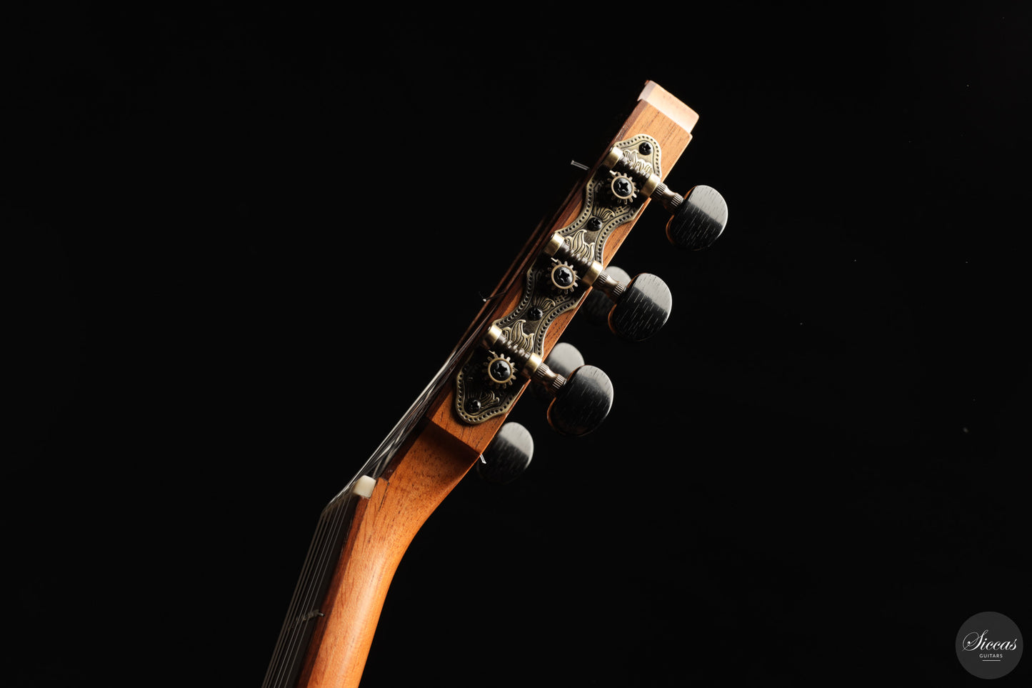 Otto Rauch - 2018 Estudio Model