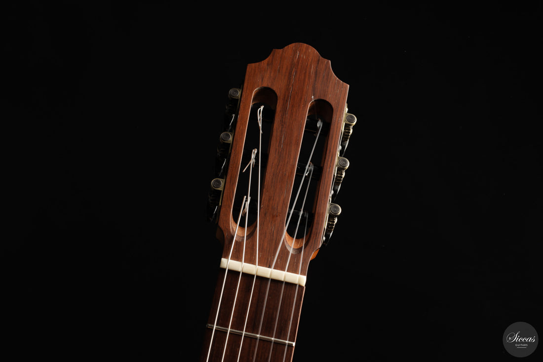 Otto Rauch - 2018 Estudio Model