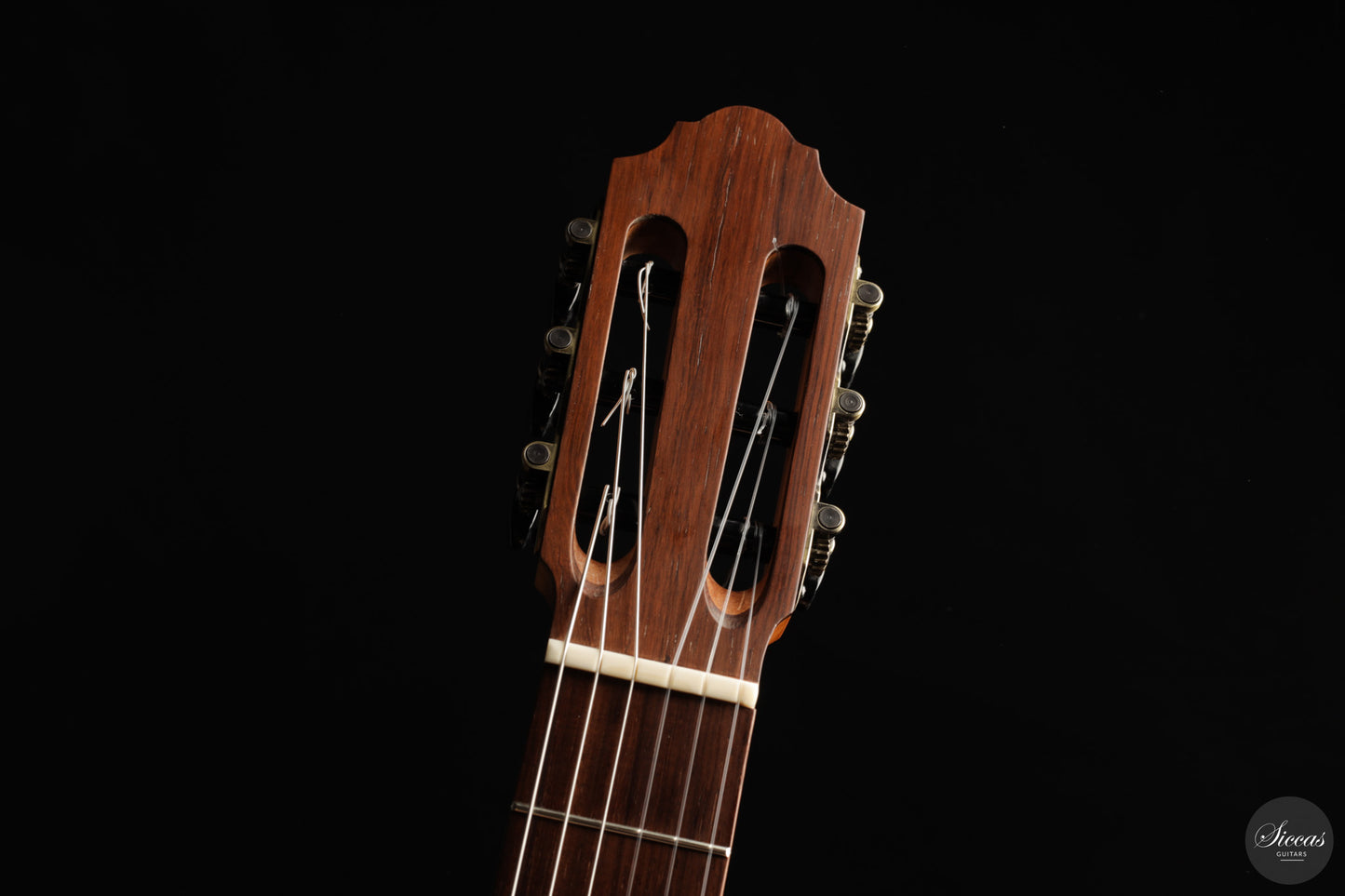 Otto Rauch - 2018 Estudio Model
