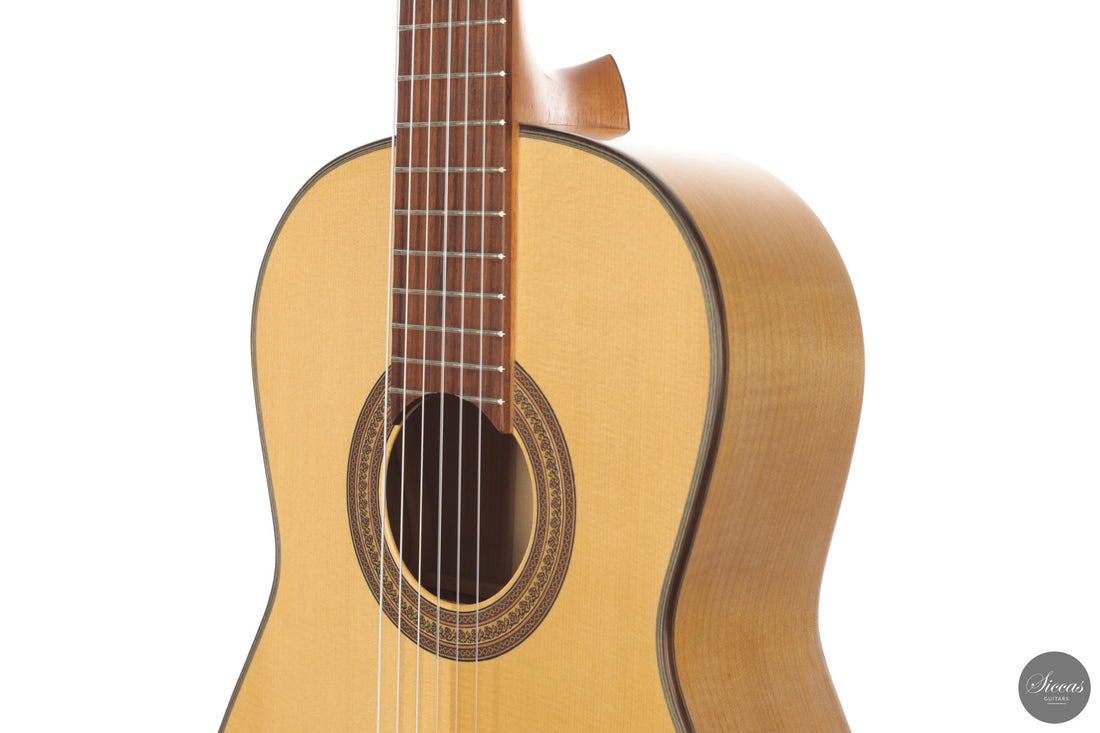 Otto Rauch - 2018 Estudio Model