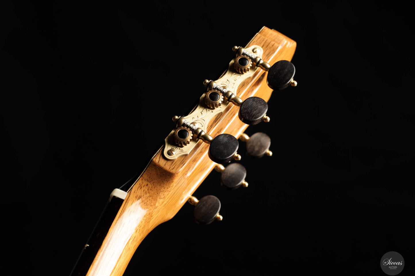 Paco Santiago Marin - 2023 XXX Aniversario Indian Rosewood