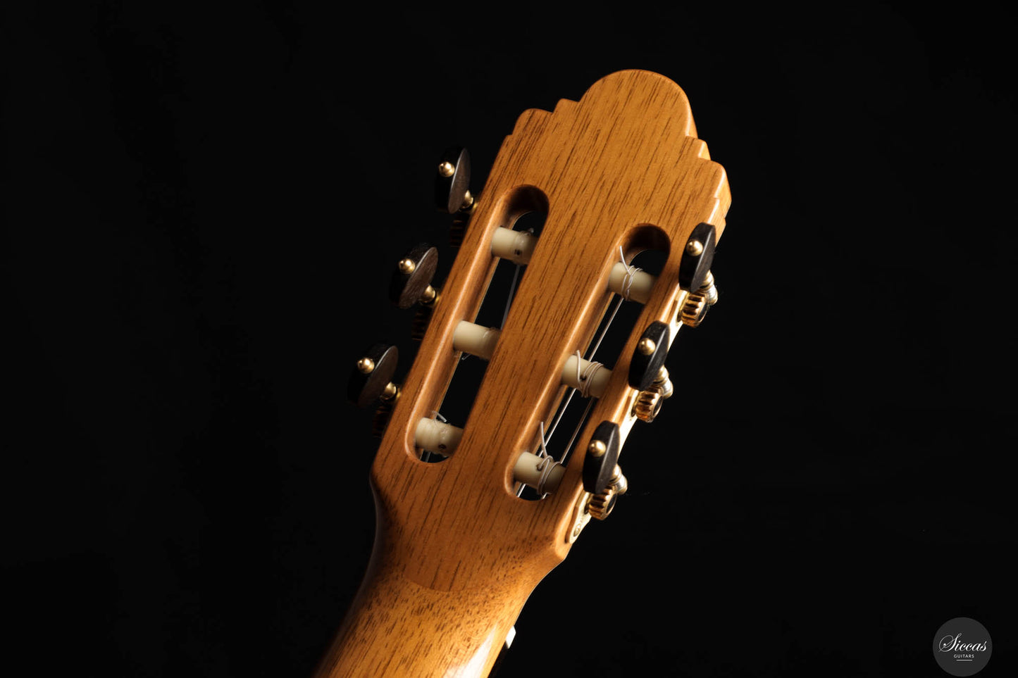 Paco Santiago Marin - 2023 XXX Aniversario Indian Rosewood