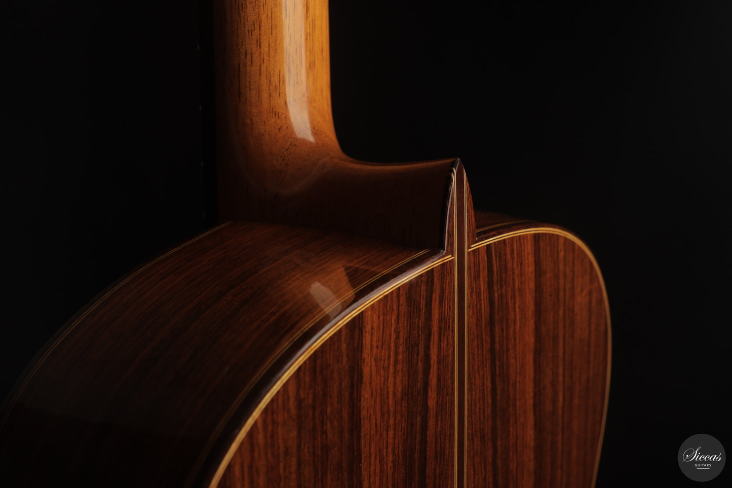 Paolo Coriani - 2025 No. 274