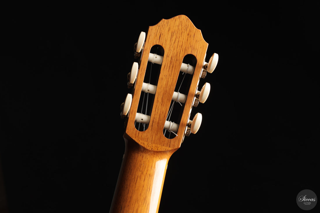 Paolo Coriani - 2025 No. 274