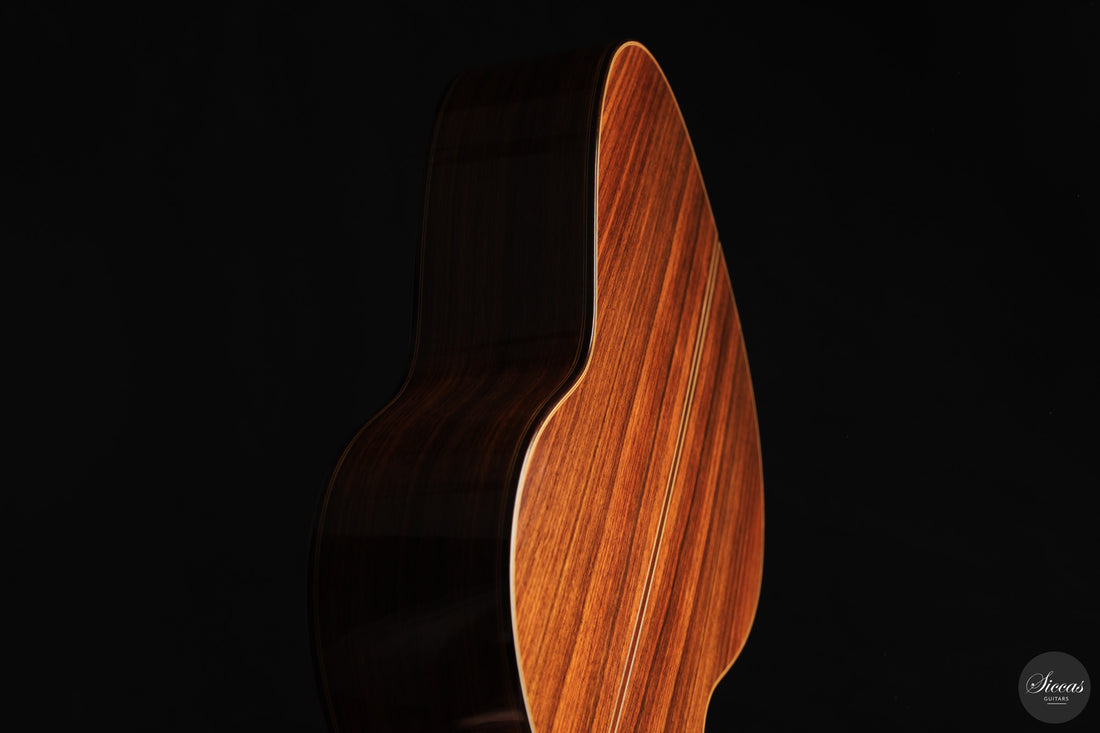 Paolo Coriani - 2025 No. 274