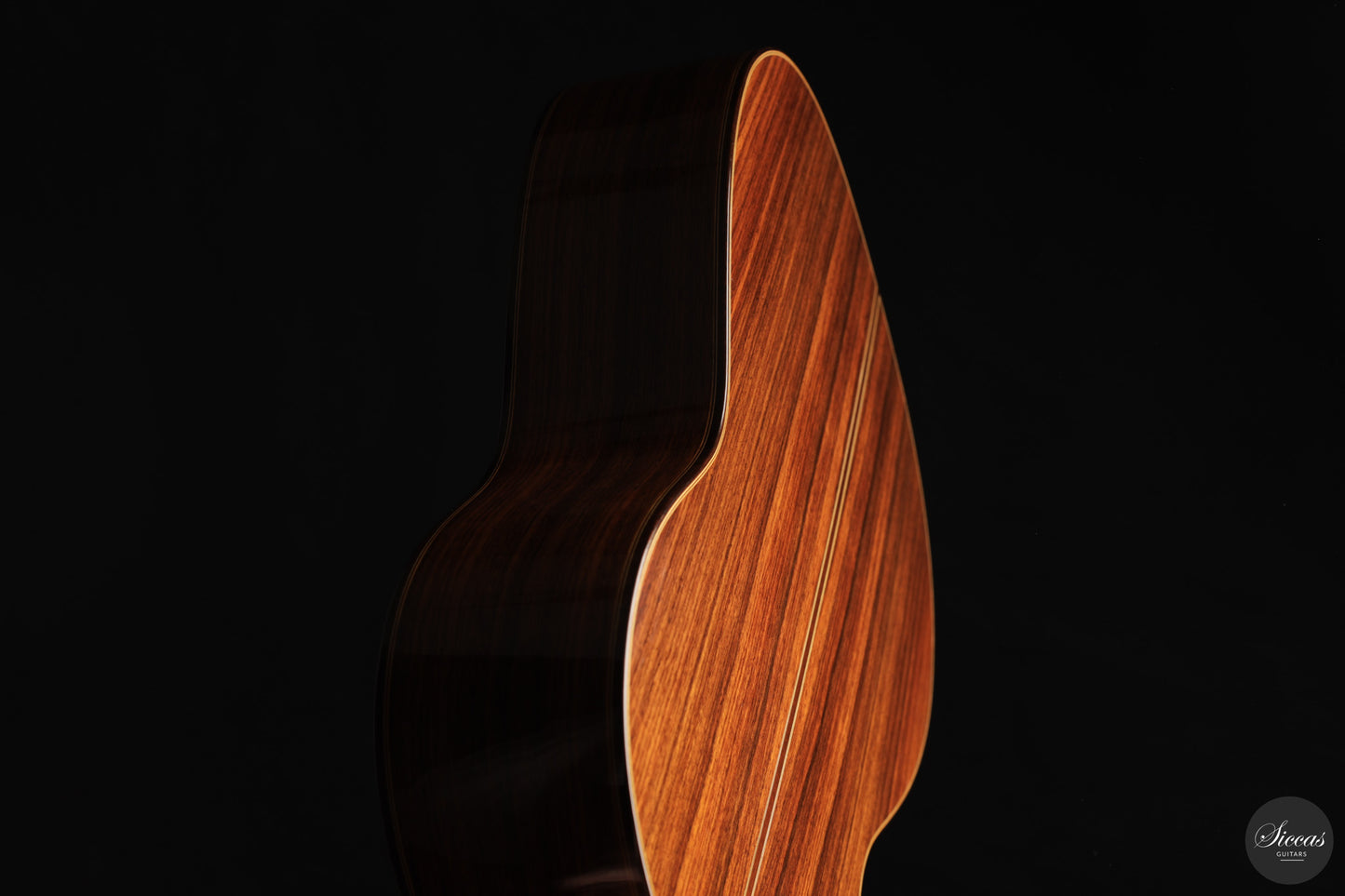 Paolo Coriani - 2025 No. 274