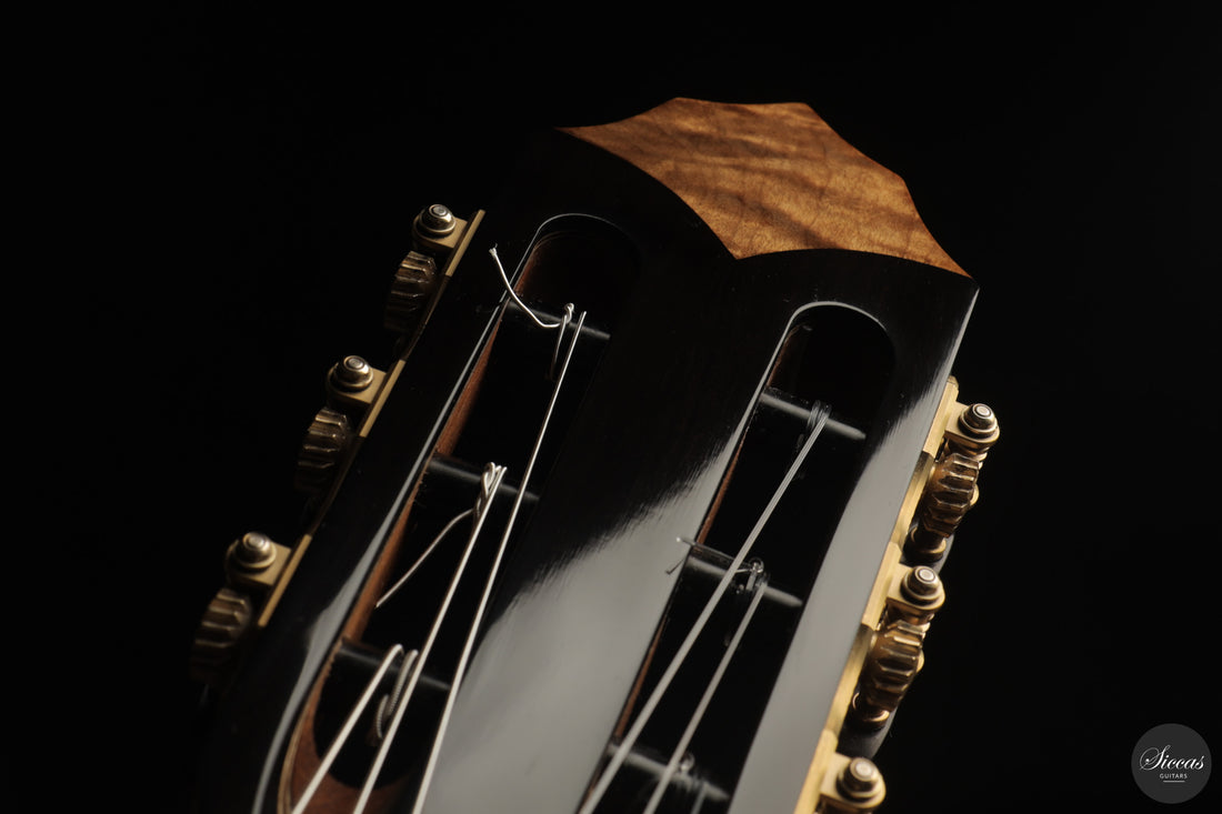 Patrick Mailloux - 2026 Palomée Doubletop 64 cm