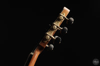 Patrick Mailloux - 2026 Palomée Doubletop 64 cm