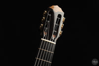 Patrick Mailloux - 2026 Palomée Doubletop 64 cm