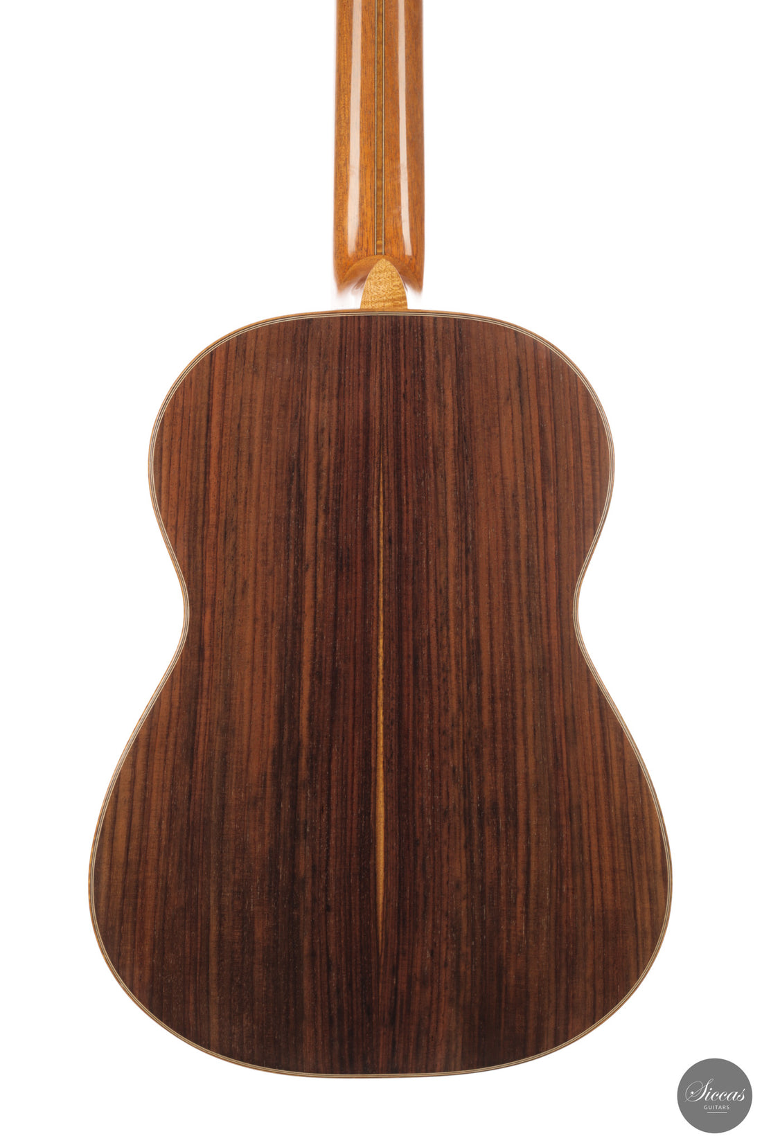 Patrick Mailloux - 2026 Palomée Doubletop 64 cm