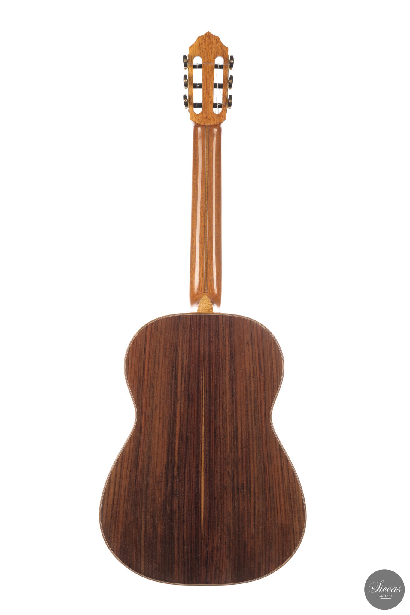 Patrick Mailloux - 2026 Palomée Doubletop 64 cm