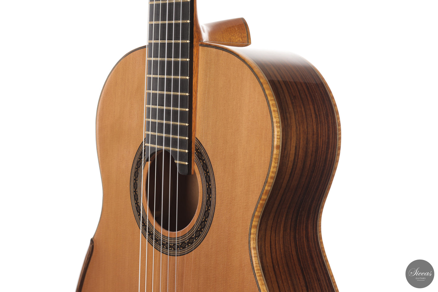 Patrick Mailloux - 2026 Palomée Doubletop 64 cm