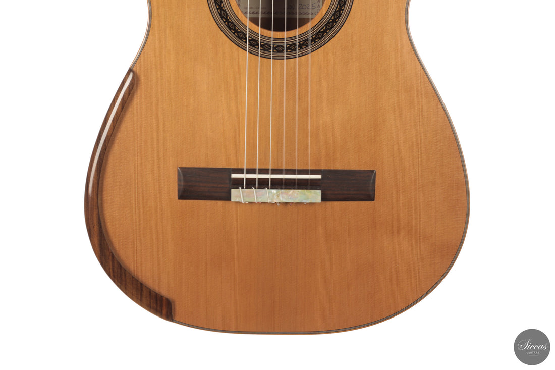 Patrick Mailloux - 2026 Palomée Doubletop 64 cm