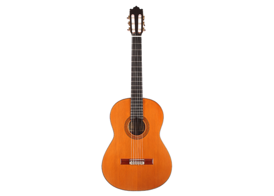 Paulino Bernabé – Concierto 2010