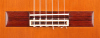 Paulino Bernabé – Concierto 2010