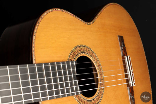 Petar Antic - 2009 No. 4 img-2