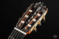 Petar Antic - 2009 No. 4