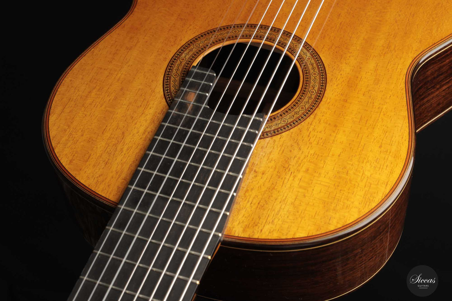 Petar Antic - 2015 8-string