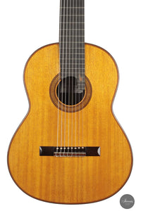 Petar Antic - 2015 8-string