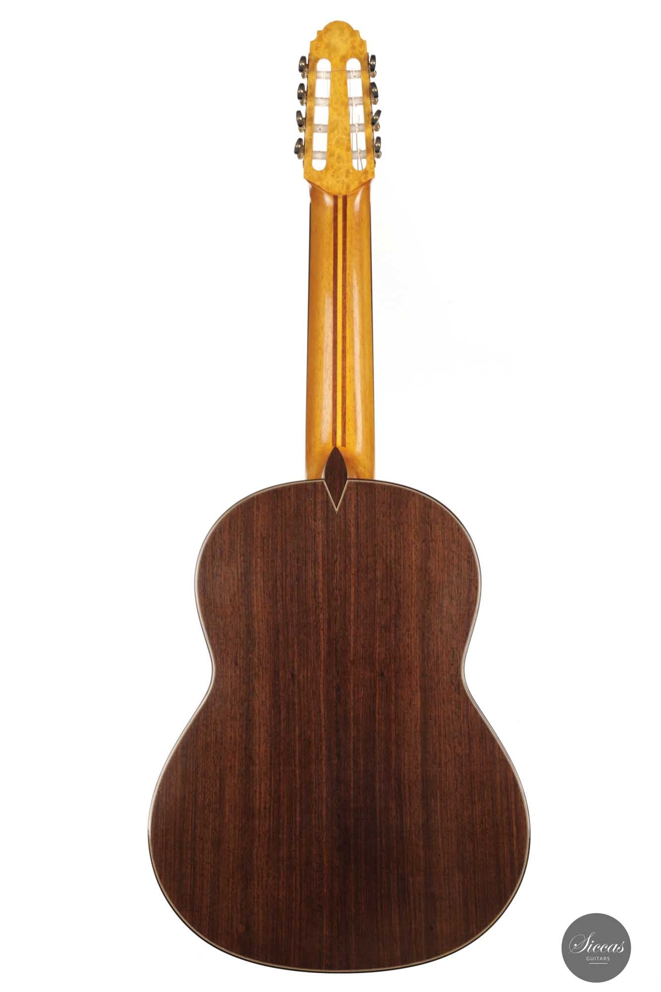 Petar Antic - 2015 8-string