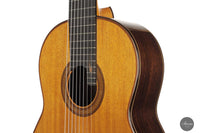 Petar Antic - 2015 8-string