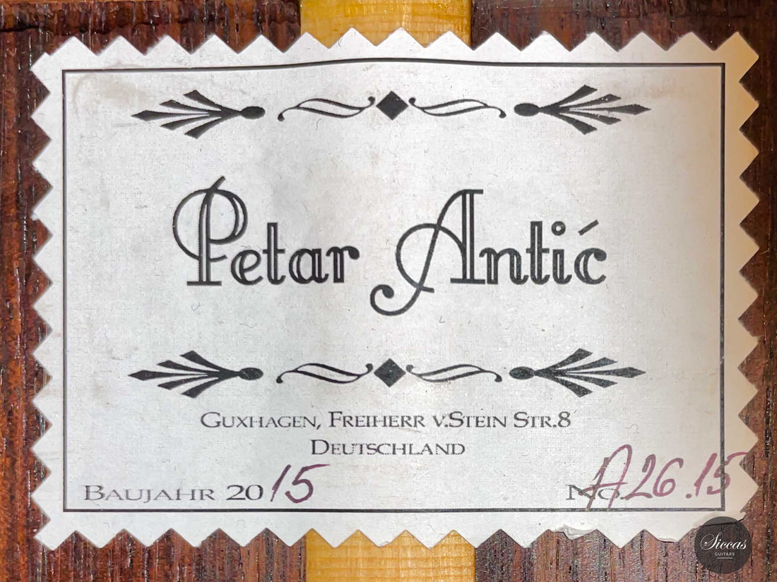 Petar Antic - 2015 8-string