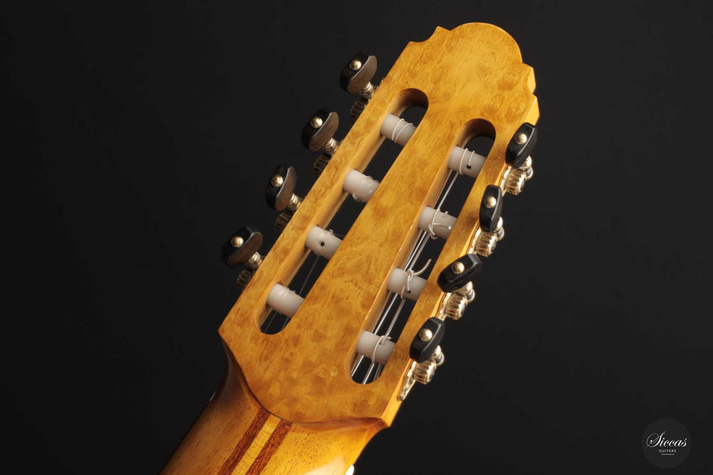 Petar Antic - 2015 8-string