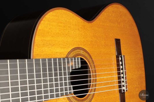 Petar Antic - 2015 8-string img-2