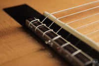 Pete Beer - 2026 Cir-Mheala No. 114