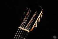 Philip Woodfield - 2013 Grand Concert Lattice No.339