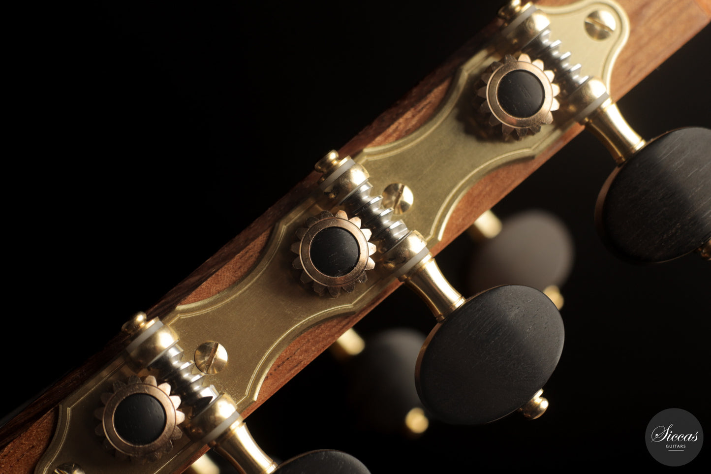 Raffaele Dantone - 2026