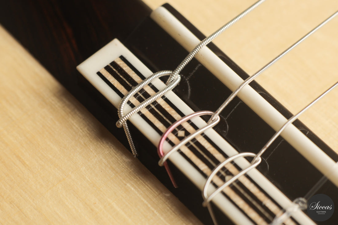 Raffaele Dantone - 2026