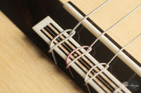 Raffaele Dantone - 2026