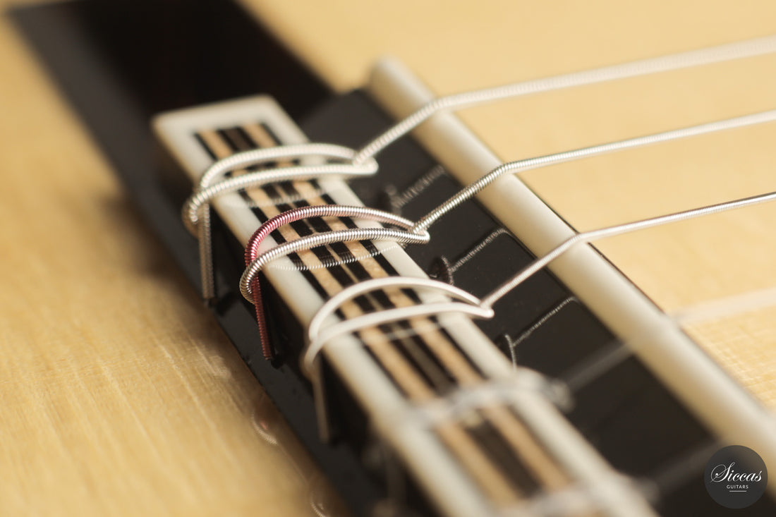 Raffaele Dantone - 2026