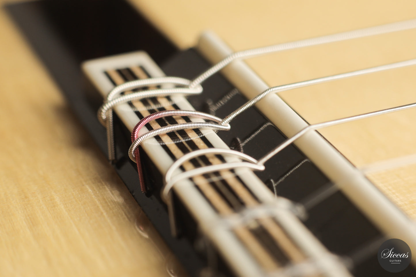 Raffaele Dantone - 2026