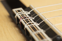 Raffaele Dantone - 2026