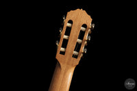 Raffaele Dantone - 2026